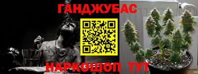 сатива Гусев