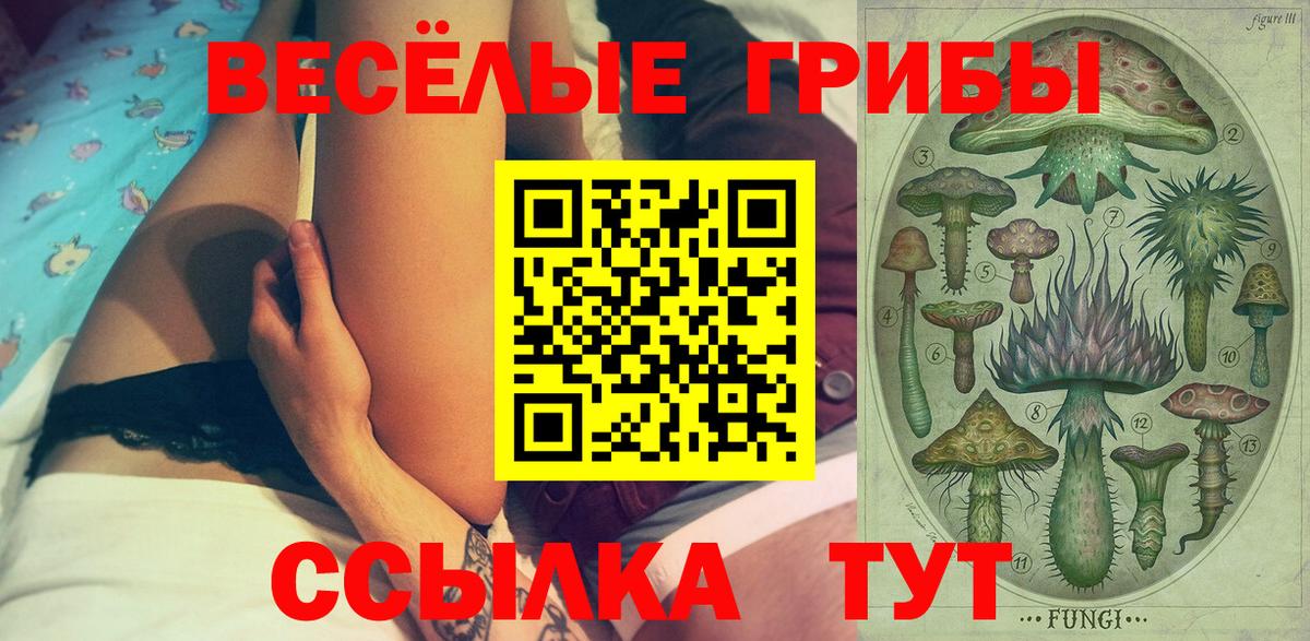 Галлюциногенные грибы Psilocybe Волхов