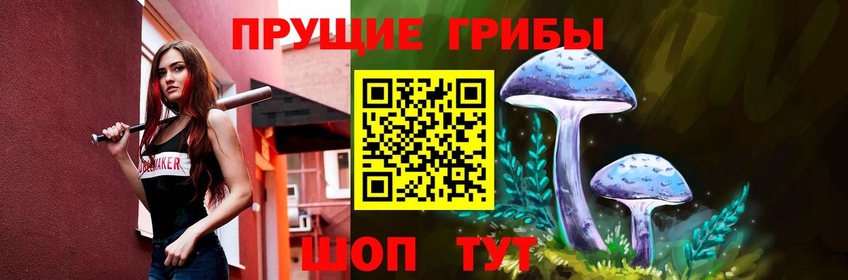 Волхов  Галлюциногенные грибы Psilocybine cubensis  Вход с VPN 